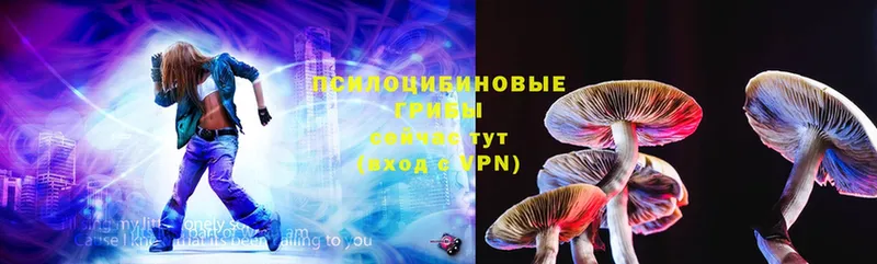 omg tor  Каспийск  Псилоцибиновые грибы MAGIC MUSHROOMS  где найти наркотики 